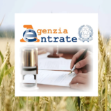 AGRICOLTURA: PERCENTUALE BONUS SUD 2023 FRUIBILE